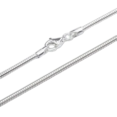 Silver snake chain necklace with clasp on a white background