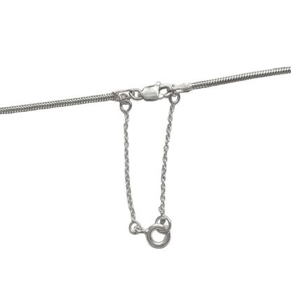 Close-up of a silver snake chain with clasp and added safety chain on a white background
