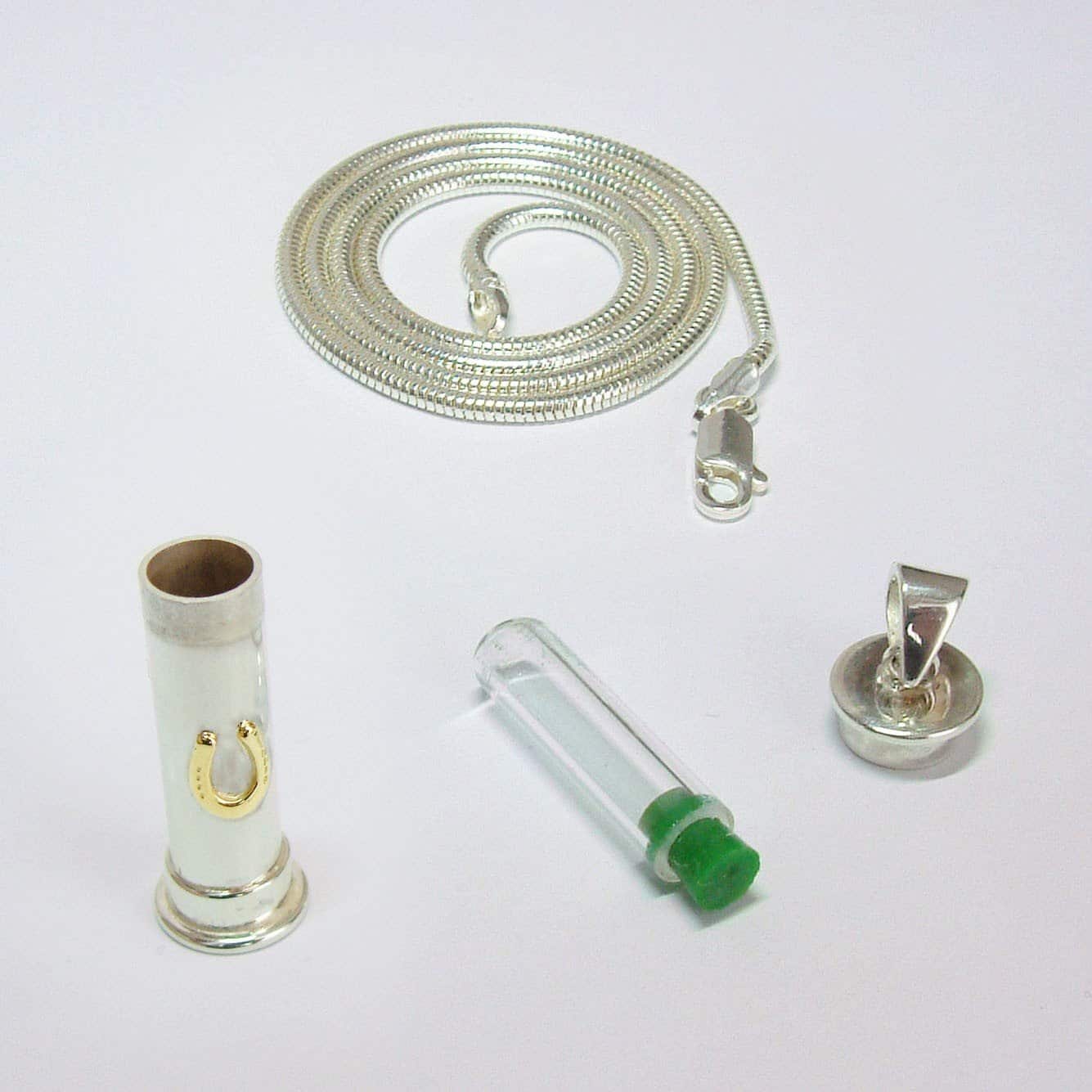 Horseshoe Memory Pendant Capsule