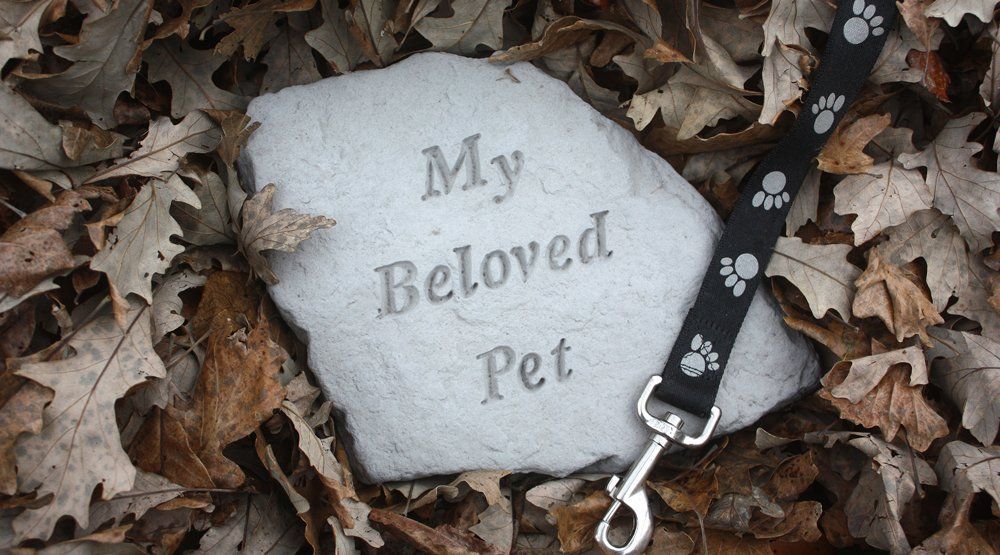 My Pet