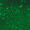 Green Crystallure