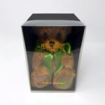 Merrythought 'Always With Me' Bear