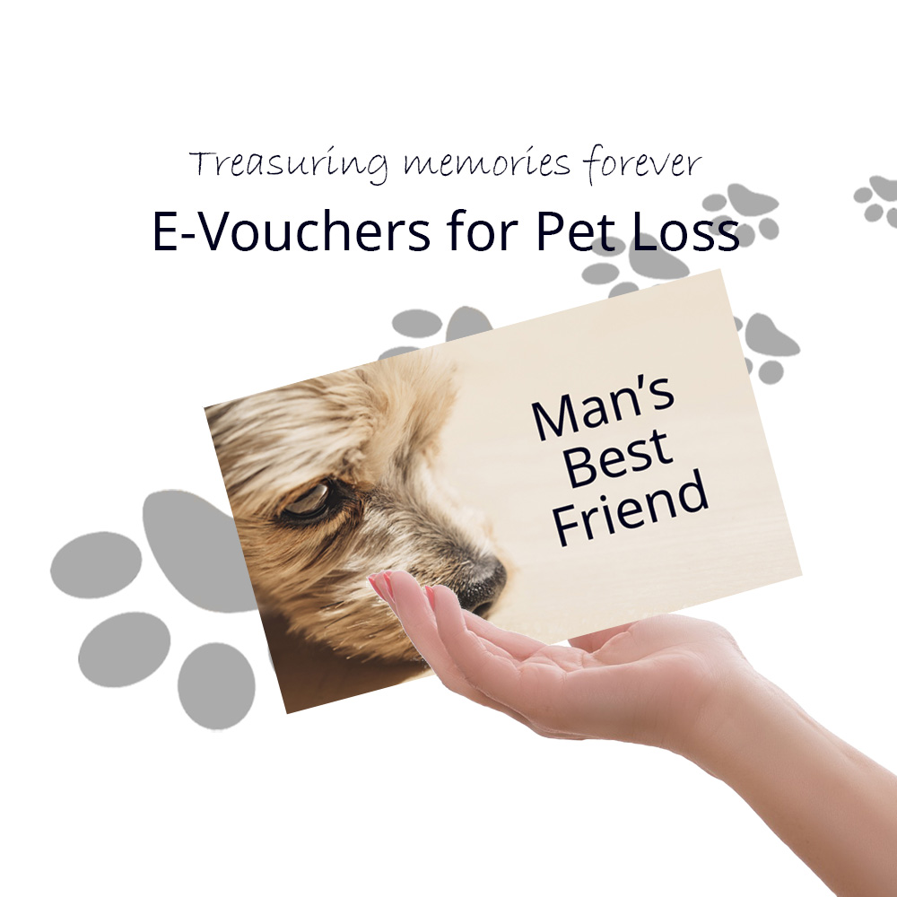 Vouchers For Pet Loss